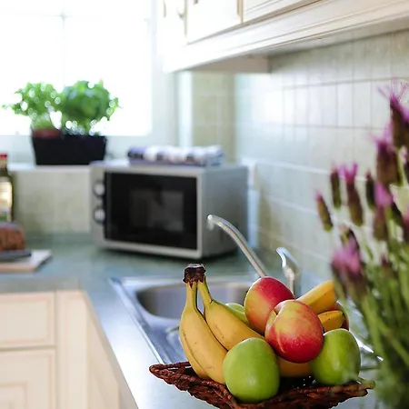 Ferienhaeuser Am Kummerower In Verchen