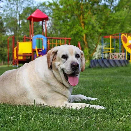 Ferienhaeuser Am Kummerower In Nyaraló *