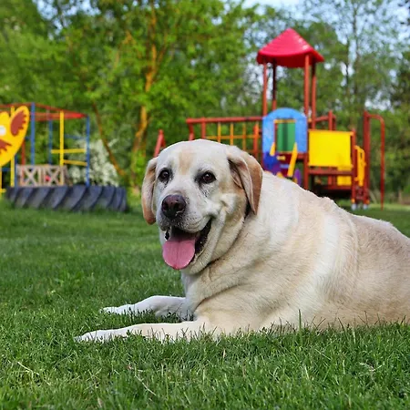 別荘 Ferienhaeuser Am Kummerower In Verchen