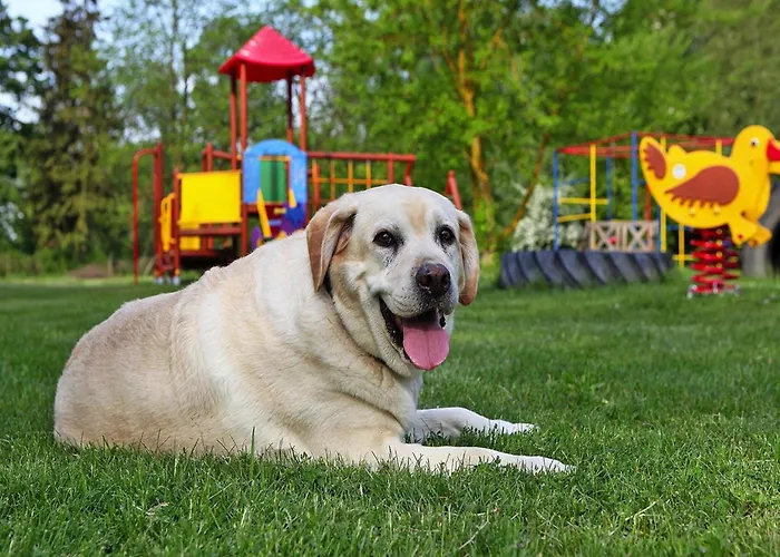 Ferienhaeuser Am Kummerower In Semesterbostad *