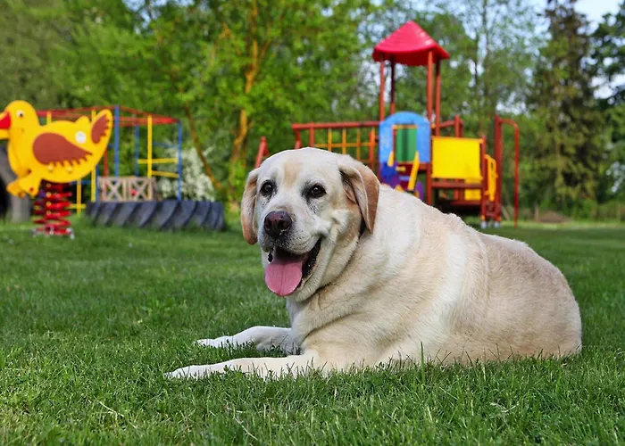 Semesterbostad Ferienhaeuser Am Kummerower In Verchen